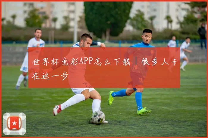 世界杯竞彩APP怎么下载｜很多人卡在这一步