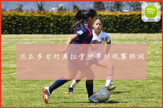 厄瓜多尔对库拉索世界杯观赛热词