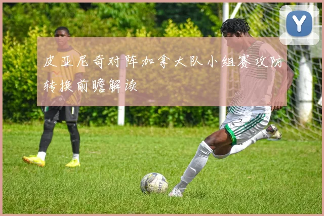 皮亚尼奇对阵加拿大队小组赛攻防转换前瞻解读